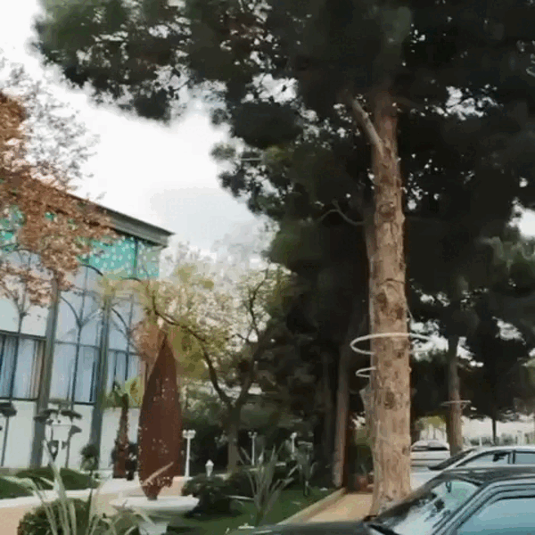 Meridian Garden Hall