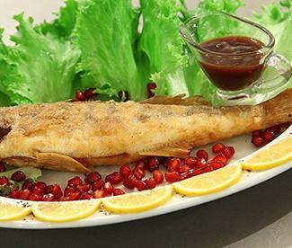 Sudak Balığı