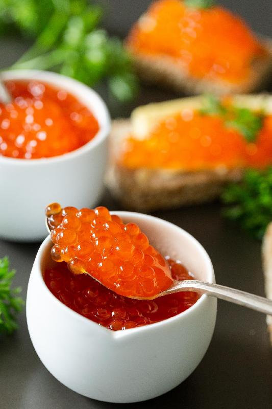 Qırmızı kürü