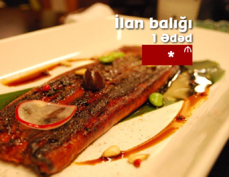 İlan balığı