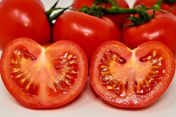 Pomidor