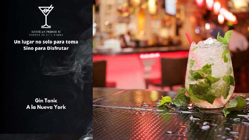 Gin Tonic