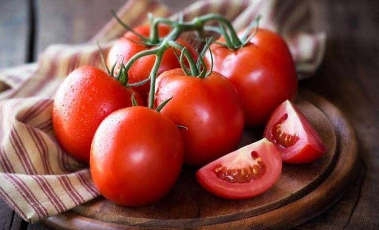 Pomidor