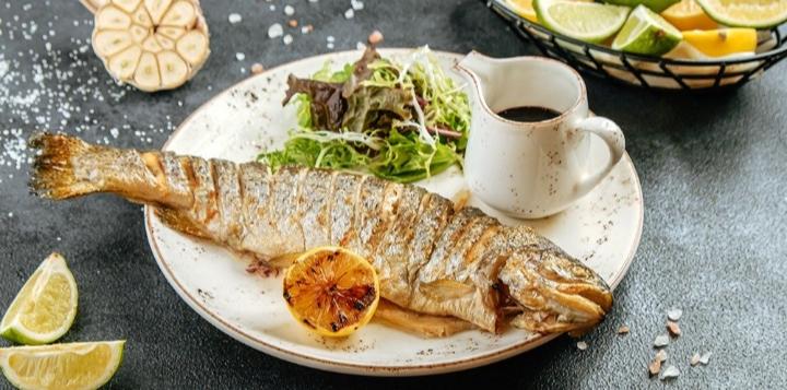 Forel Balığı