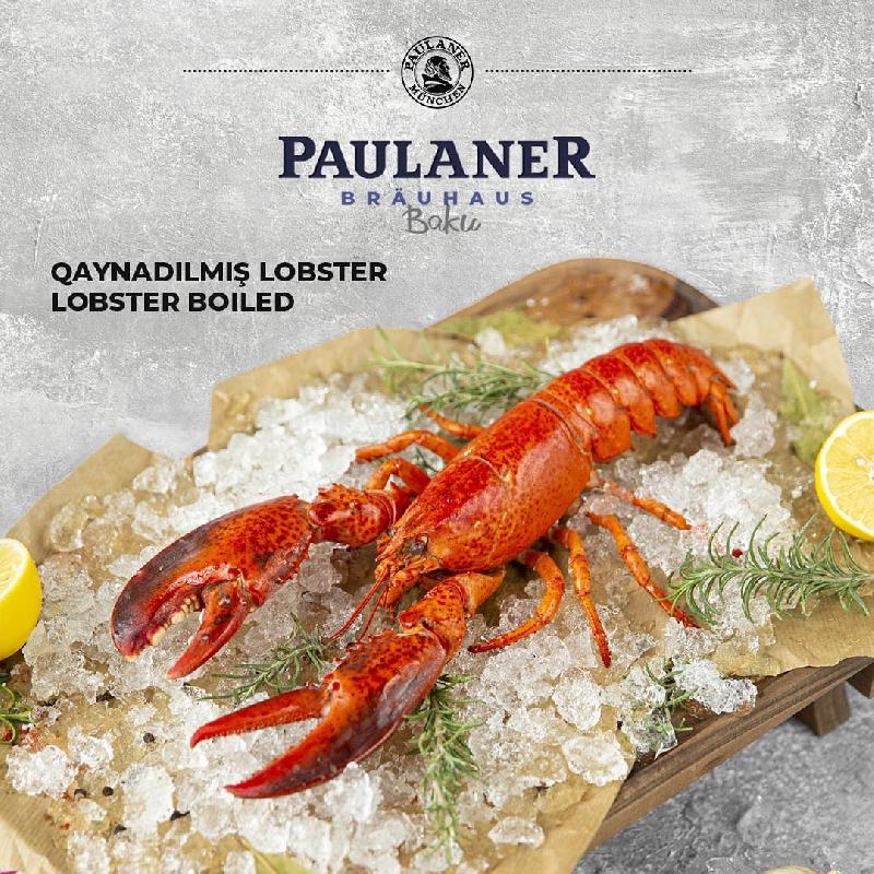 QAYNADILMIŞ LOBSTER