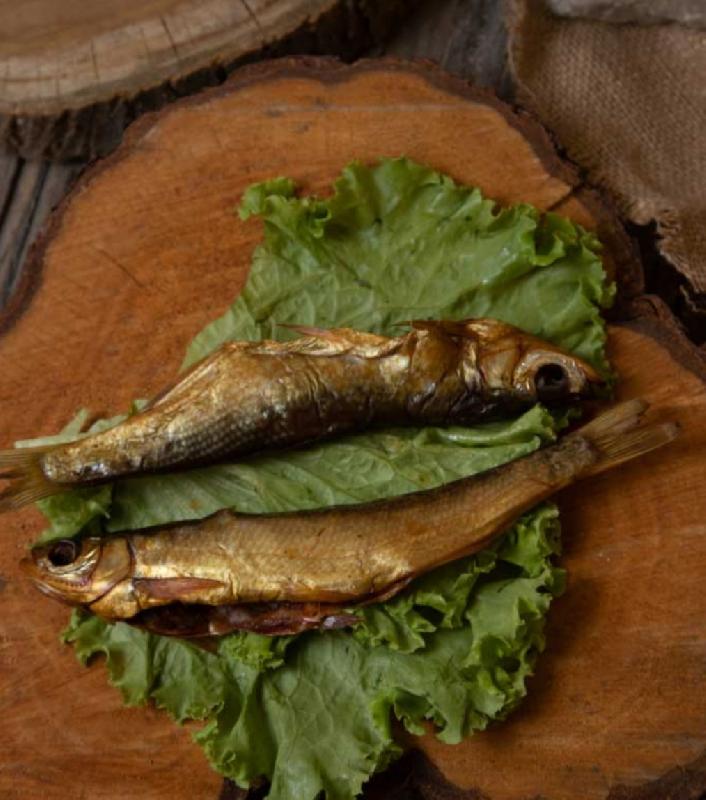 Şamayka