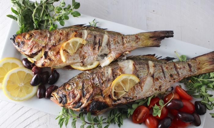 Forel tavada (balaca)