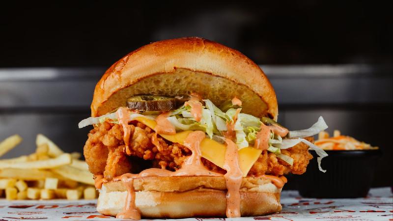 Toyuq burger+fri