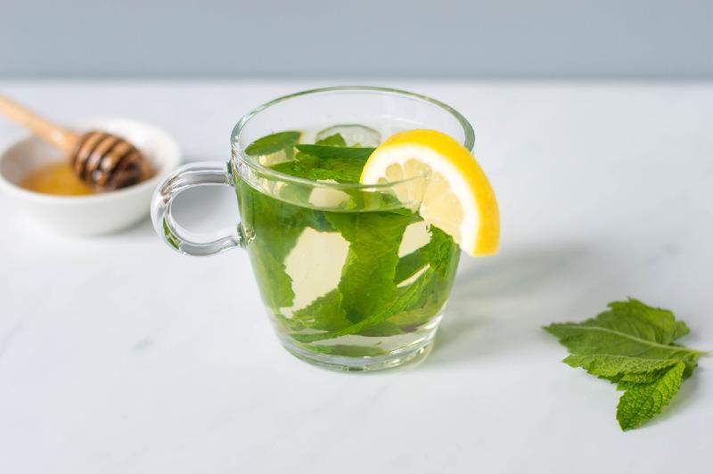 Mint & Fresh