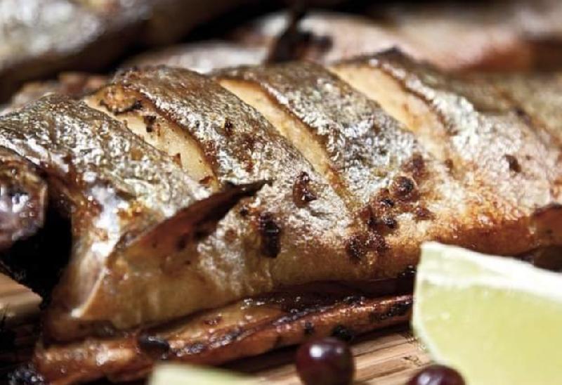 Balıq Forel