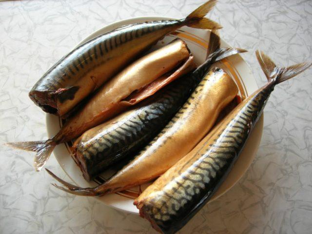 SLYOTKA BALIQ