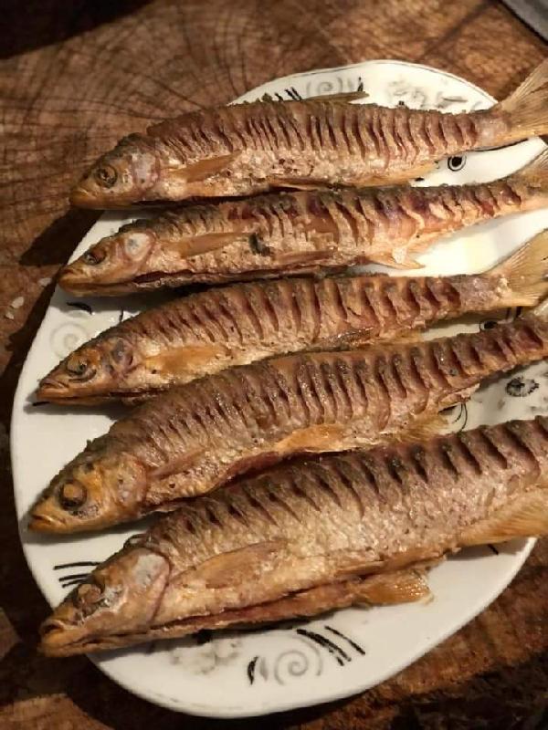 Şamayka 