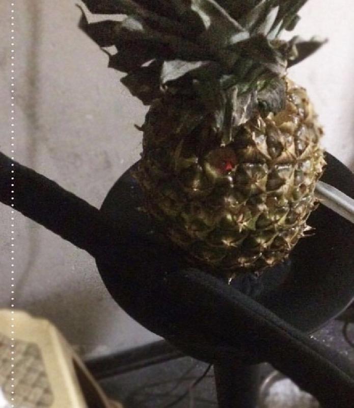 Ananas