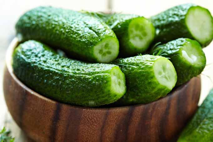Fresh cucumber