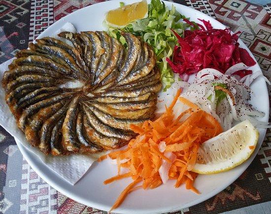 Hamsi