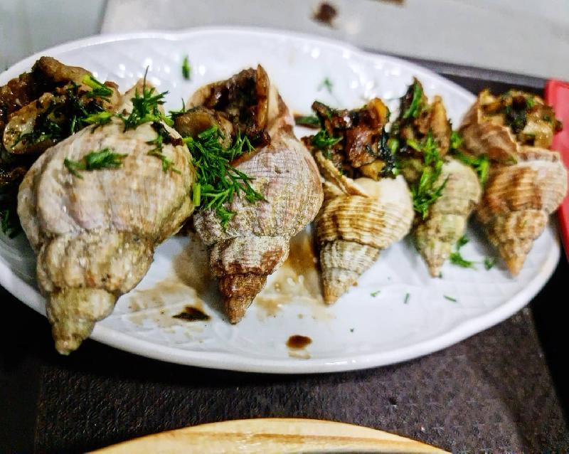 Asiyasayağı ilbiz