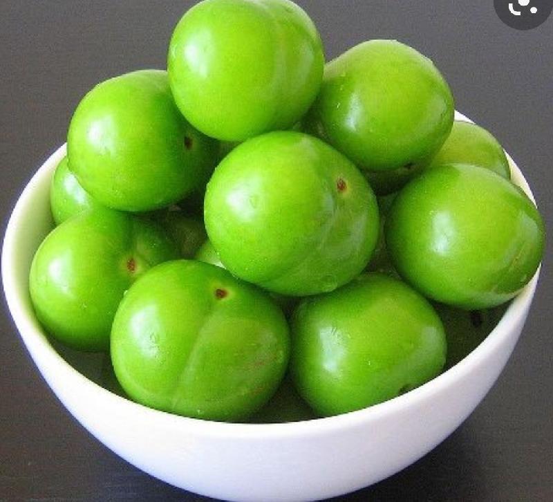 Alça