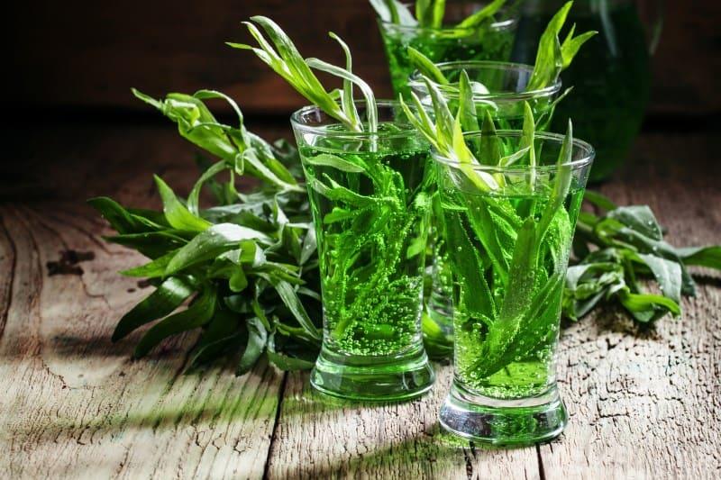 Tarragon