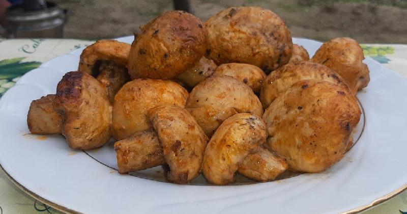 Göbələk kabab
