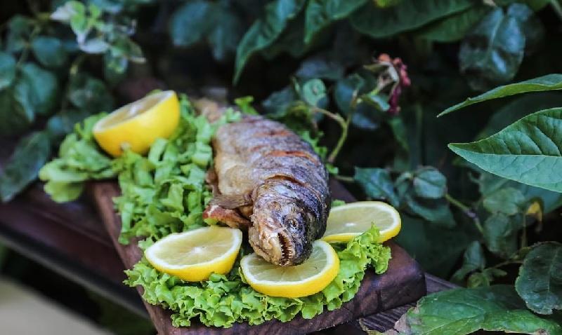 Forel