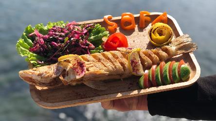 Sudak Balığı