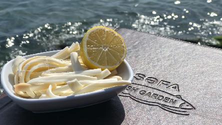 Saçaq Pendir