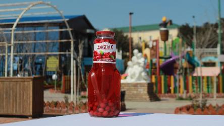 Kompot (Bağdan)