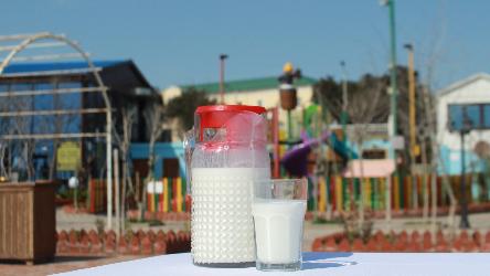 Ayran bakal