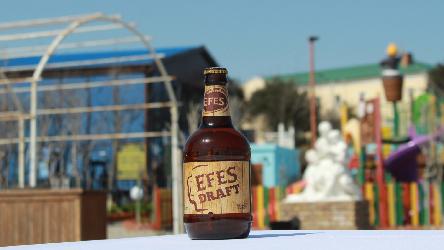 Efest Draft