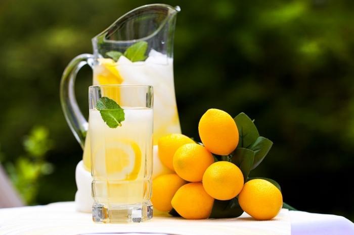 Evsayağı Limonad 