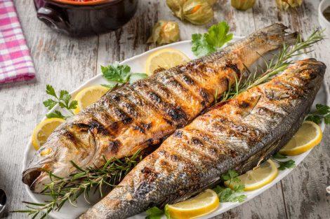 Forel Balığı 