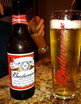 Budvayzer
