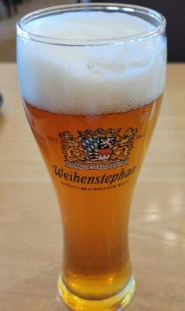Wainstephan
