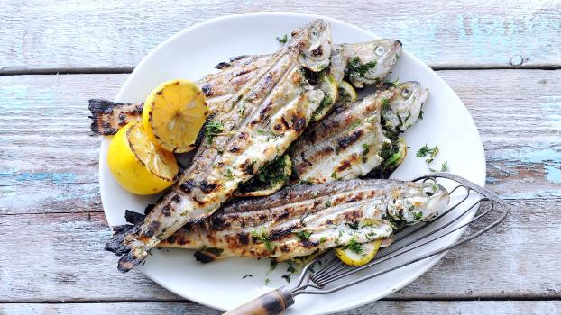 Forel