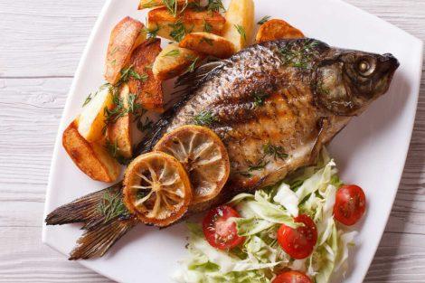 Forel