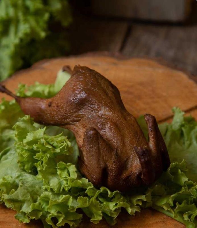 Bildirçin 