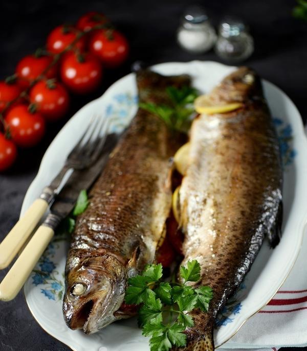 Forel
