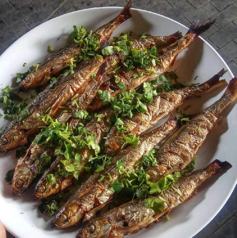 Şamayka