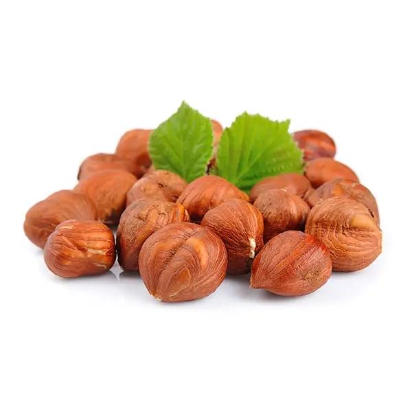 Fındıq
