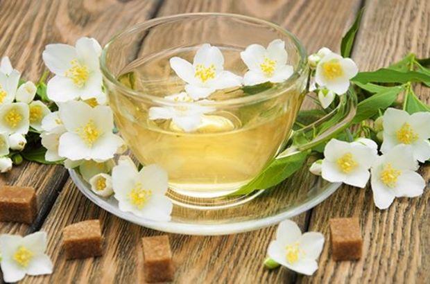 Jasmine 