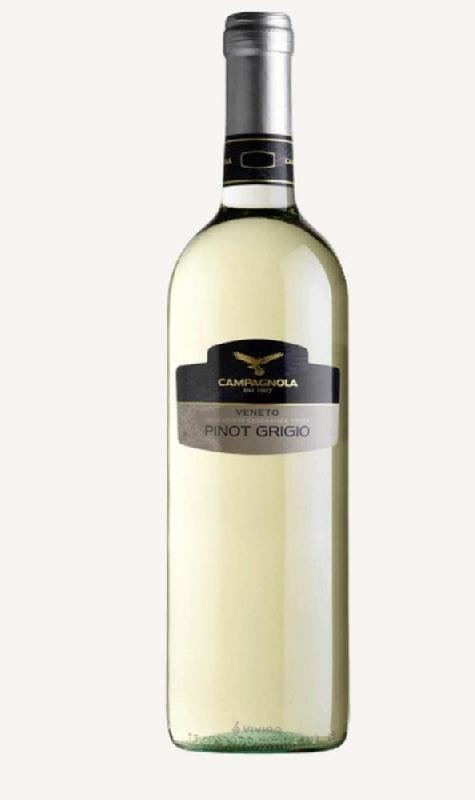 CAMPAGNOLA PINOT GRIGIO /VENETO