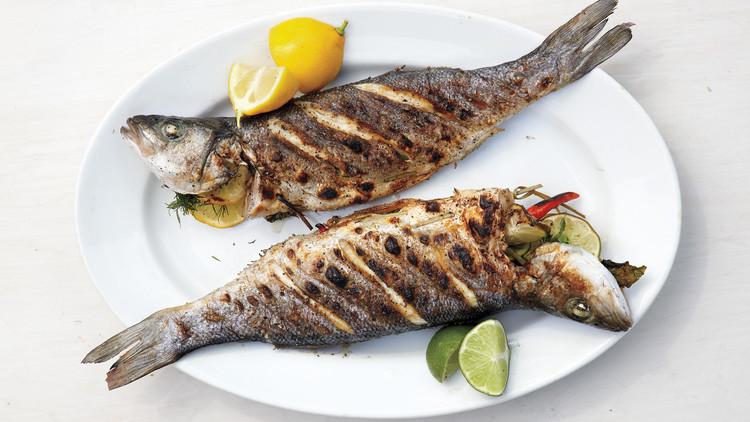 Forel tavada