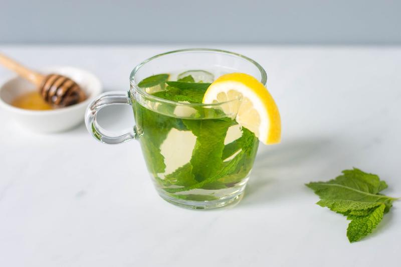 Taze Nane Çayı 600ml