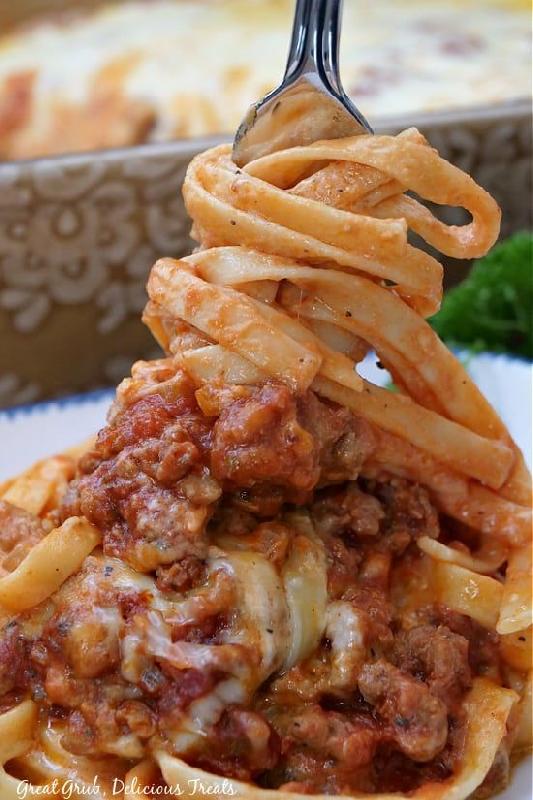 FETTUCCİNE WİTH MEAT 
