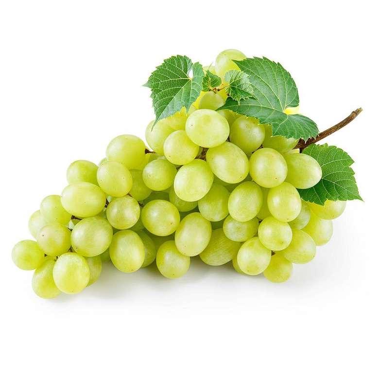 Üzüm