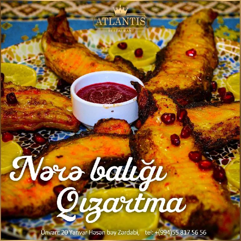 Nərə Balığı 