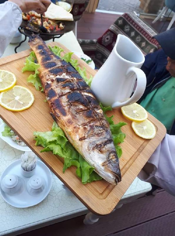 Sibas balığı 