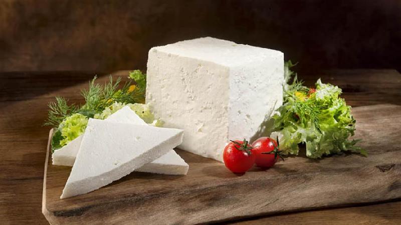 Cheese 