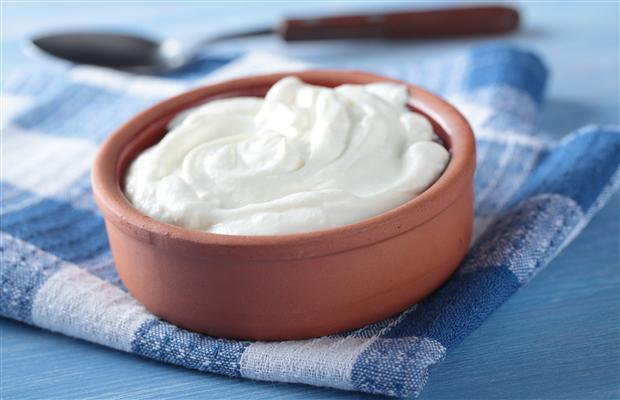 Yogurt 