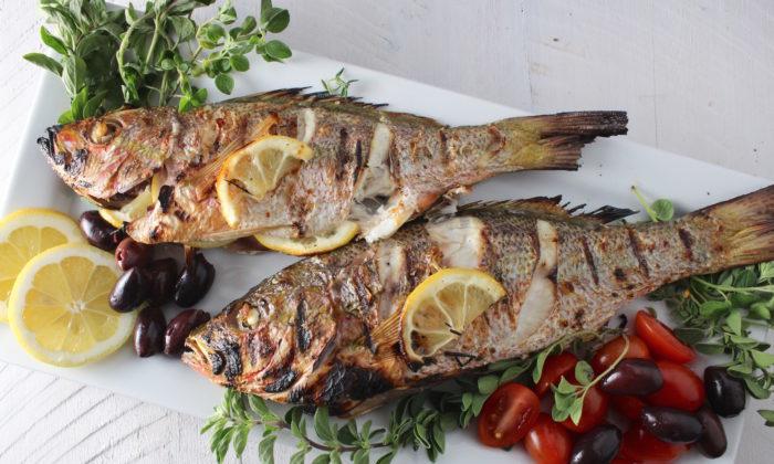 Fish sudak 